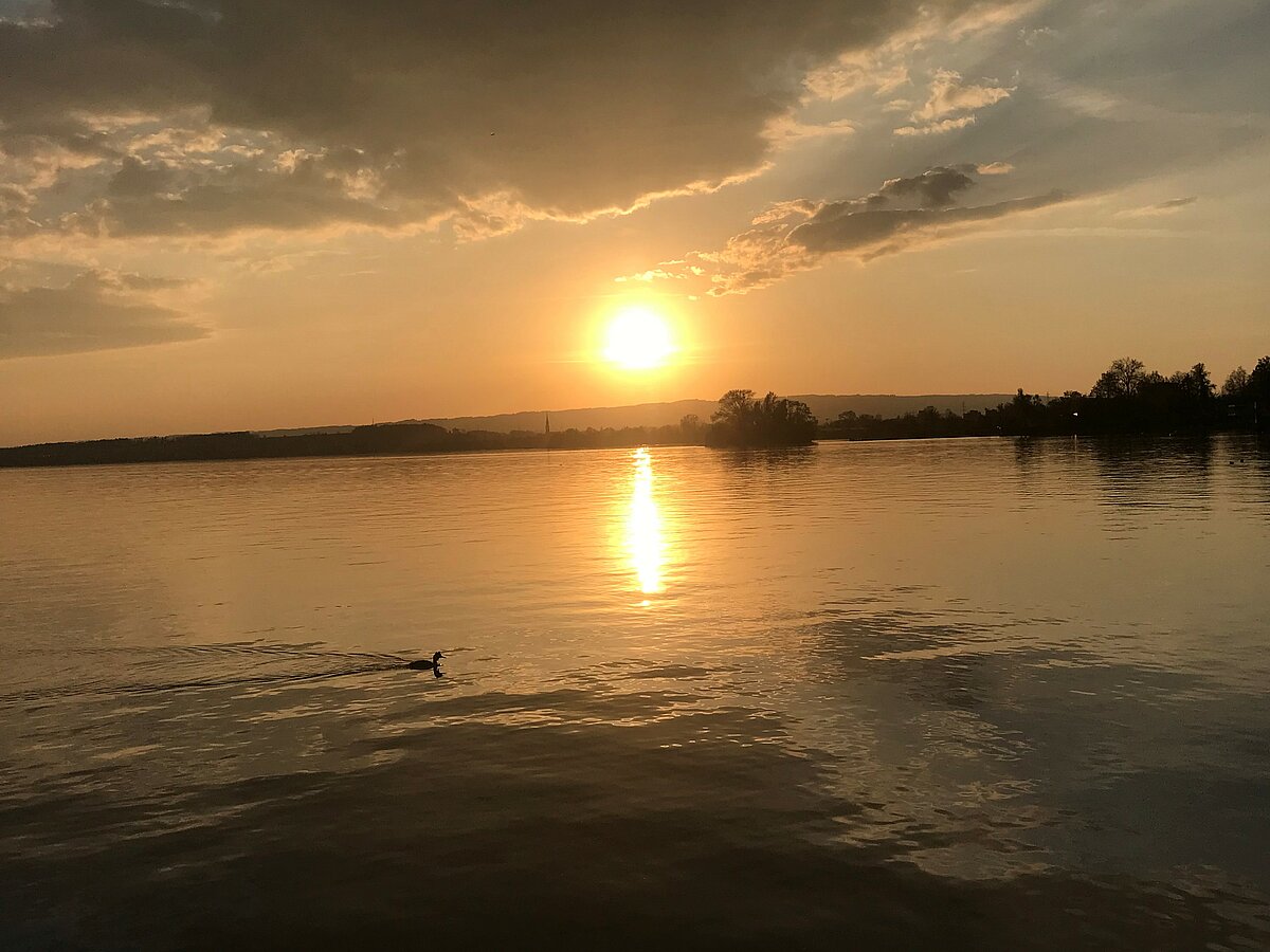 4.5Zimmer Wohnung in der Stadt Zug zum Kauf BECK Real Estate GmbH